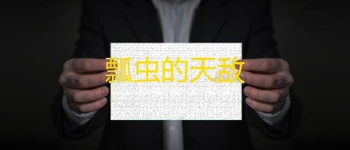 第五人格辅助技能瓢虫的天敌